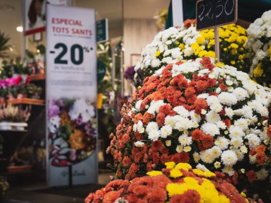 Crisantemos para Todos los Santos: flores de tradición y simbolismo